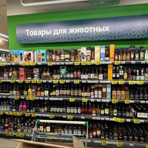 юмор