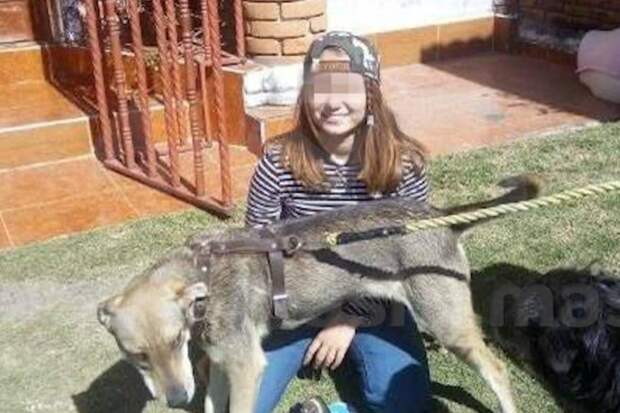 РЕН ТВ усматривает связь «чёрных трансплантологов» с похищением дочери пианистки Романовой