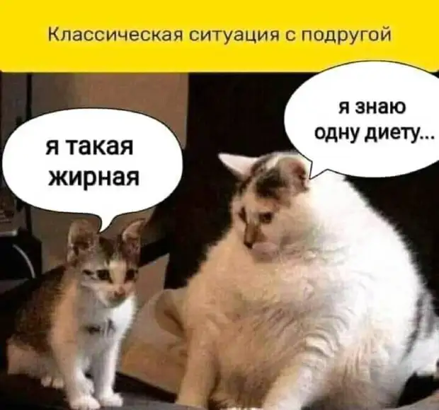 Обычно, за спиной говорят что угодно, а в лицо — что выгодно Обычно, за спиной говорят что угодно, а в лицо — что выгодно говорит, натрия, Итого, ходят, такой, монашка, Рядовой, пятницу, фотопленки, Вставил, пленку, настроил, убедился, закрепил, Зенит, проворачивается, сделал, пробный, открыл, изображения