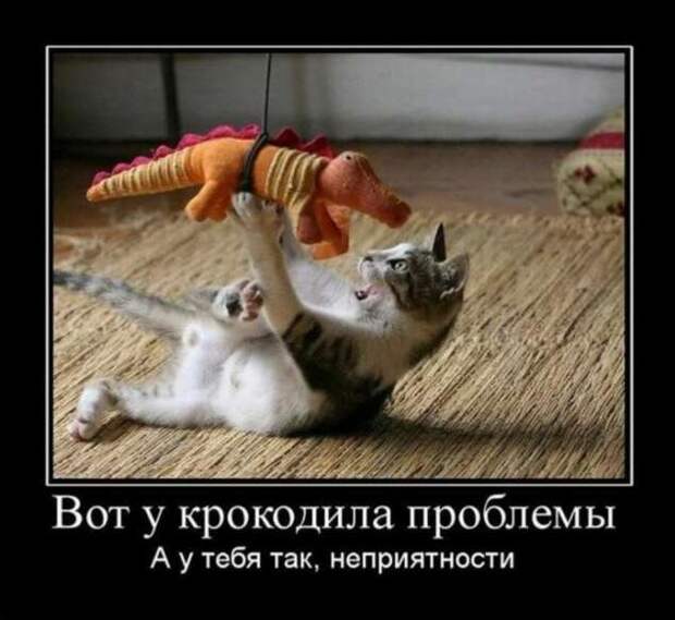 Демотиваторы. Подборка chert-poberi-chert-poberi-28280805052020-11 картинка chert-poberi-28280805052020-11