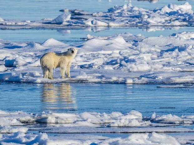 МИД Дании: война за Гренландию станет концом НАТО