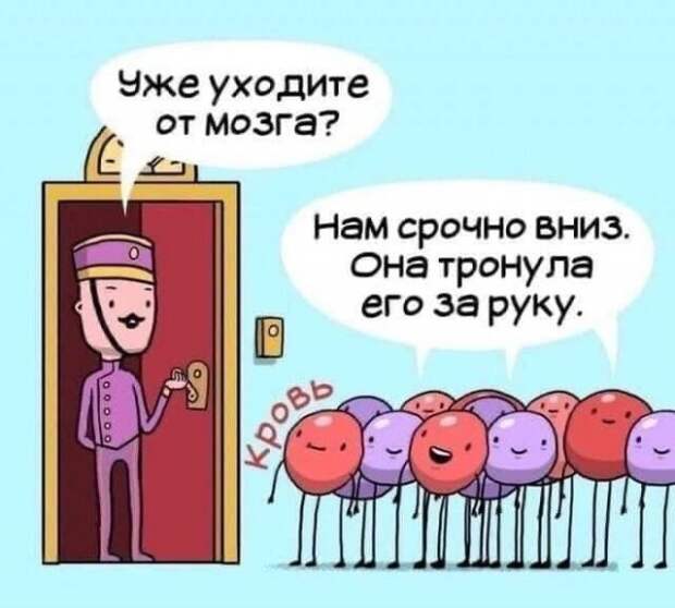 Мемы и приколы про отношения и &quot;кое-что еще&quot;