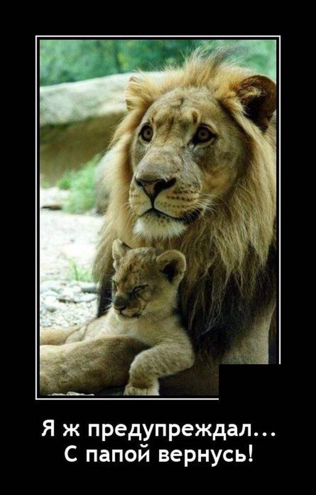 demotivatory-demotivator-smeshnye-demotivatory-demotivator-so-smyslom