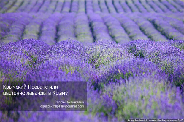 Крымский Прованс