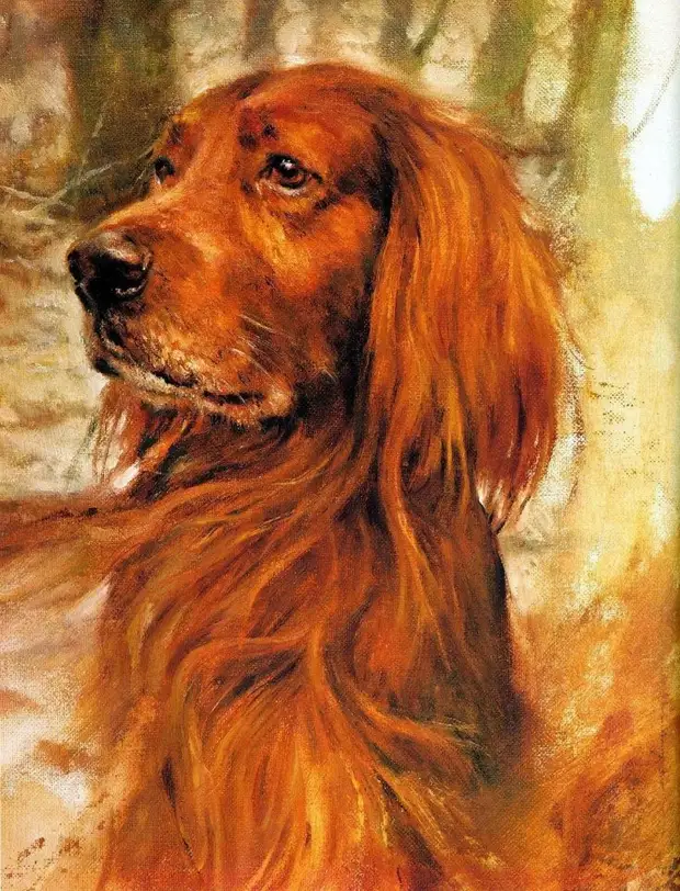 БЕГИ, ХОРОШИЙ, БЕГИ
