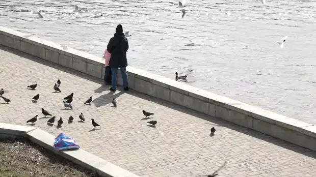 Обещанный ремонт Красного моста в Орле не стартовал после почти годового простоя