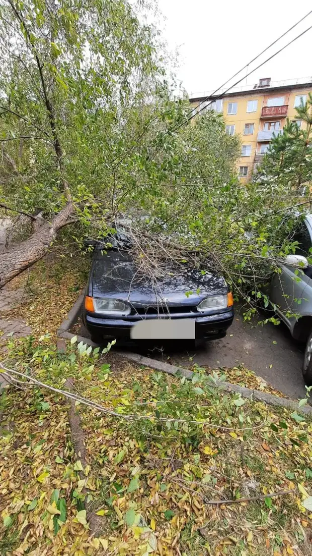 Ураган в Пензе. Ливень в Пензе. Дерево упало на дом.