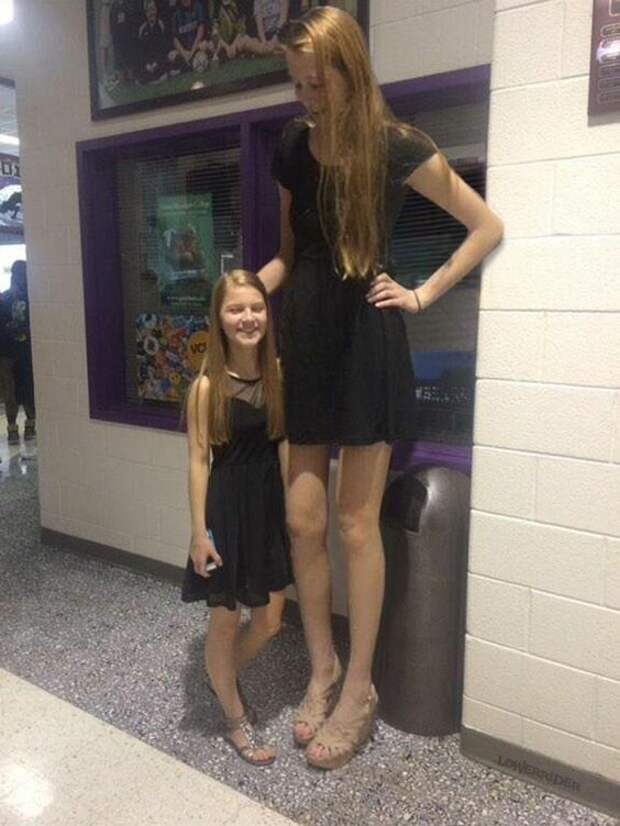 8. высокие девушки, интересно, низкие девушки, разный размер, рост, фото