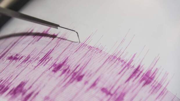 В Индонезии произошло землетрясение магнитудой 6,5