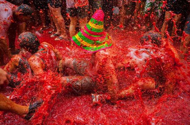 Помидорные бои La Tomatina 2013