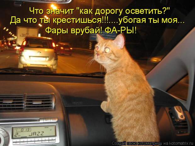 Котоматрица - Что значит 