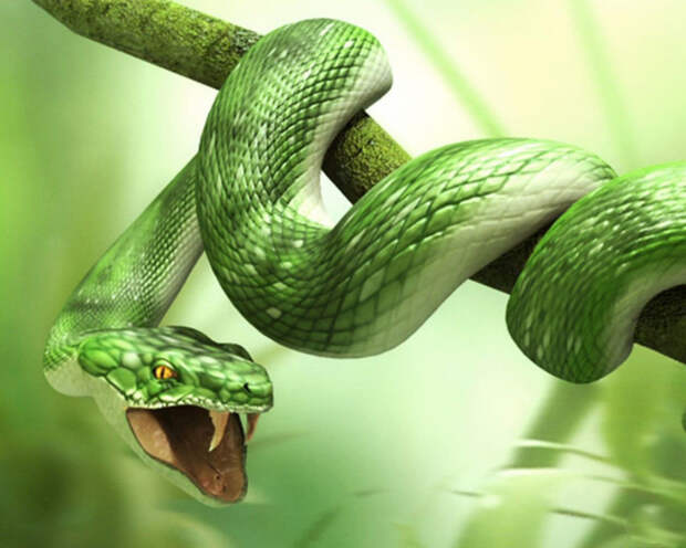 3d_animals_-_Snake-wallpapers (700x560, 362Kb)