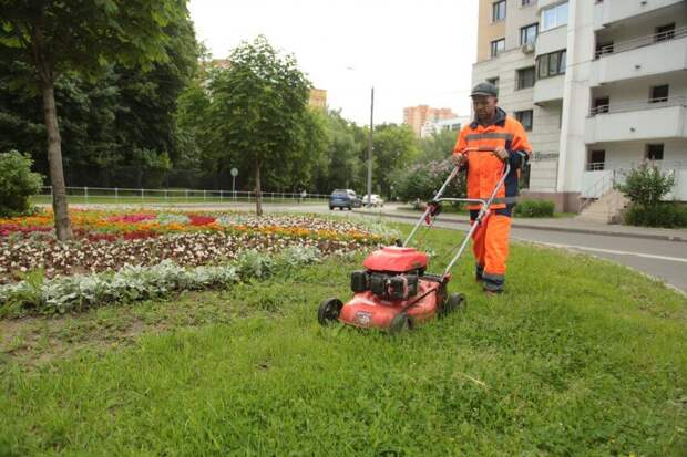 Зачем и как стригут газоны на севере Москвы