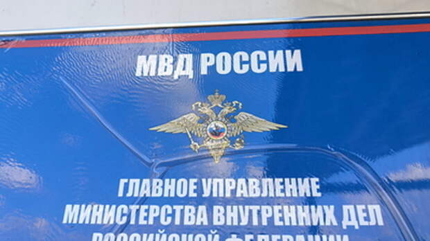 У нас некомплект: Глава департамента МВД заявила о нехватке 100 тысяч полицейских