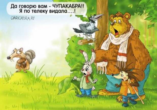 Забавные карикатуры