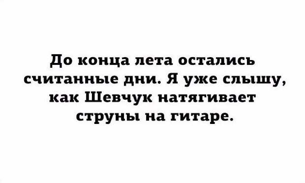 Подборка высказываний, комментов, открыток и цитат из соцсетей прикол, соцсети., юмор