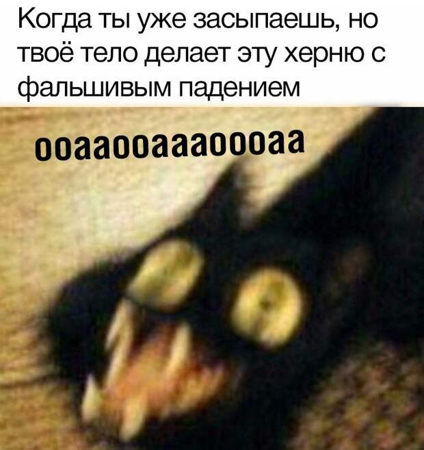 kartinok-interesnyh-prikolnyh-kartinki-smeshnye-kartinki-fotoprikoly