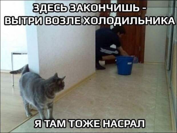 Мой раб никогда не отдыхает Мой раб никогда не отдыхает