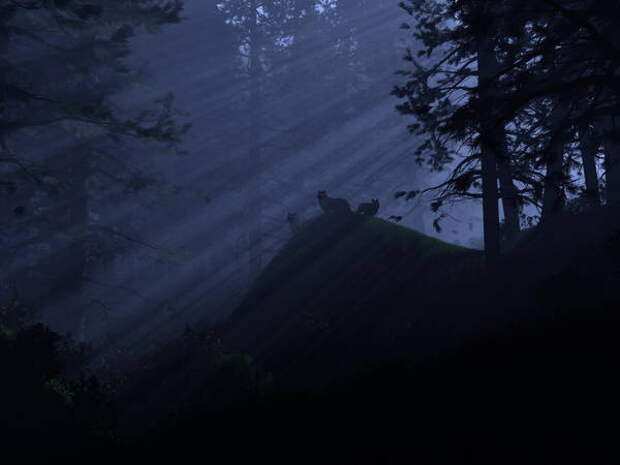 http://gallery.vbios.com/data/523/medium/WallpapersMania_101_5_.jpg