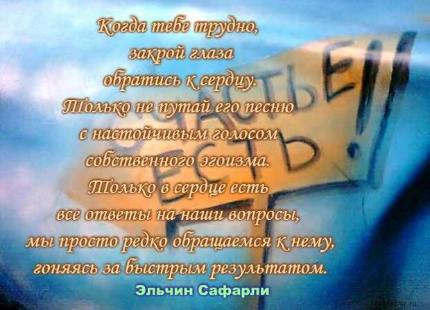 40 великолепных цитат Эльчина Сафарли, которые научат вас любить и быть счастливыми