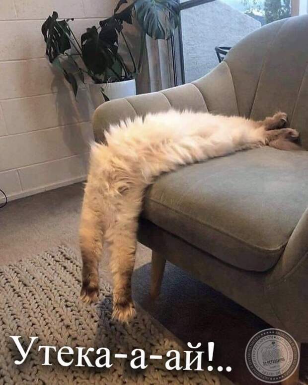 Утекай...