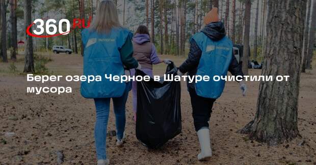 Берег озера Черное в Шатуре очистили от мусора