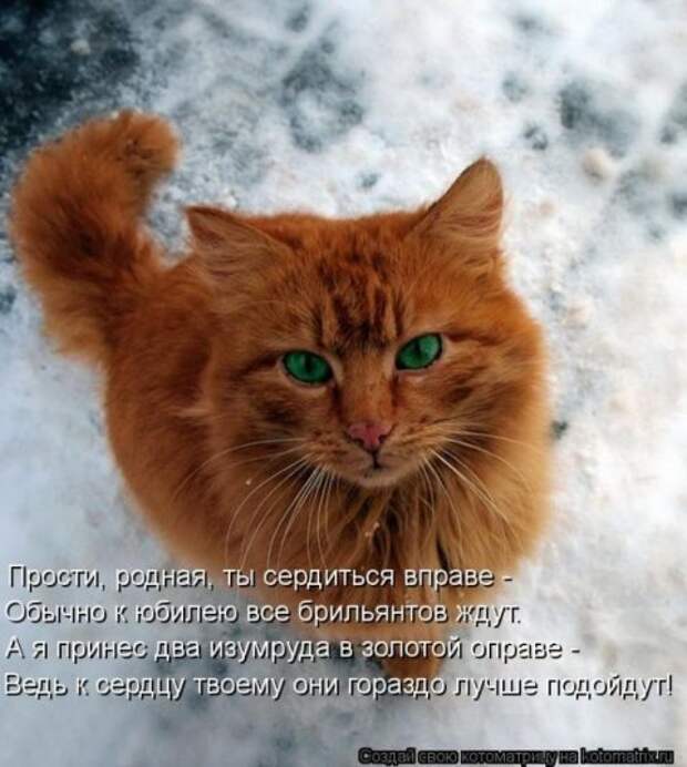 Котоматрицы