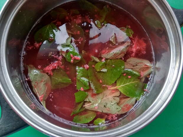 Как я готовлю вкусный «Ягодный кисель с мятой». Пошаговый рецепт с фото
