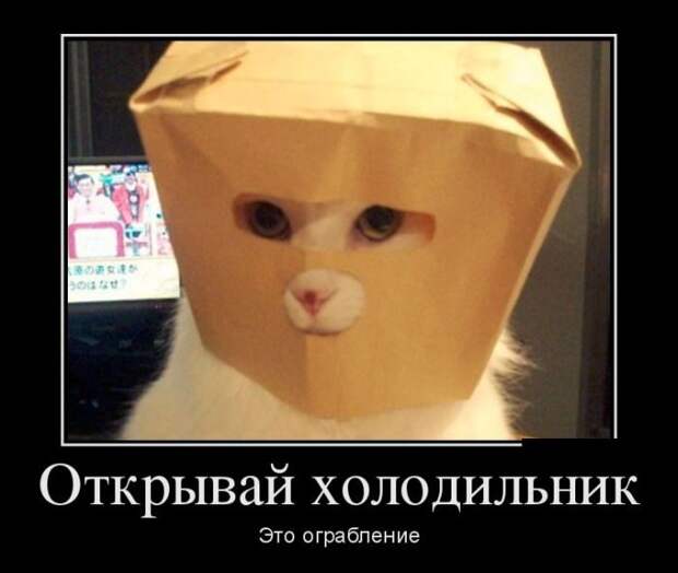 Демотиваторы дня. Феерично!