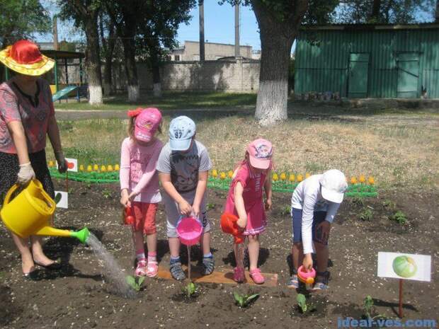 Совместный труд на огороде