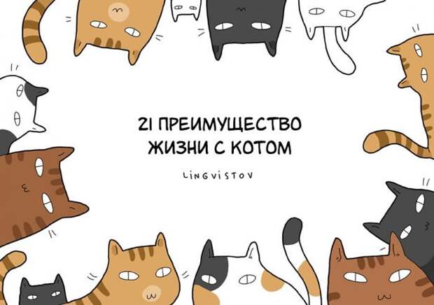 Преимущество жизни с котом (21 фото)