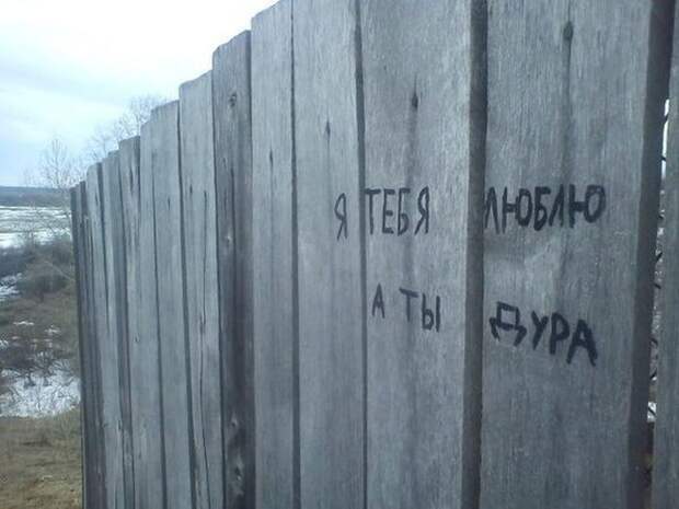 Подборка смешных фото приколов и забавных картинок из жизни (12 фото)