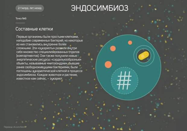 www.vsyako.net