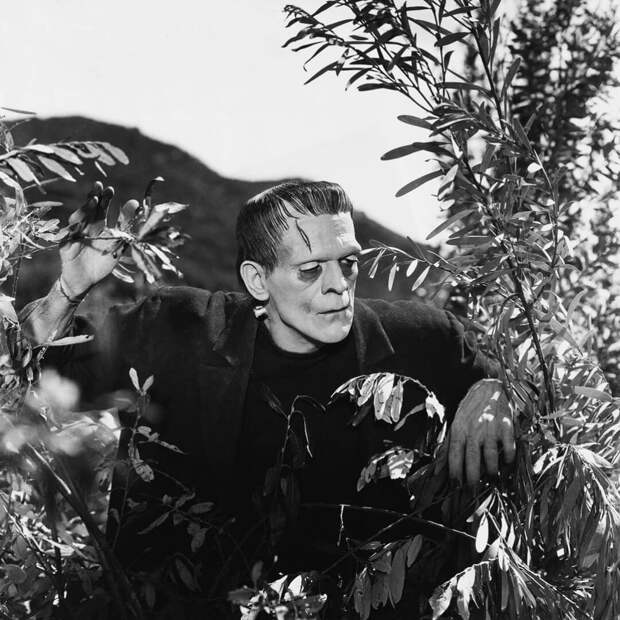 Борис Карлофф в фильме «Франкенштейн». Режиссер Джеймс Уэйл, 1931 год. Источник: imbd.com