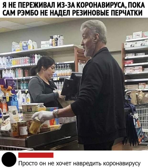 сталлоне на карантине