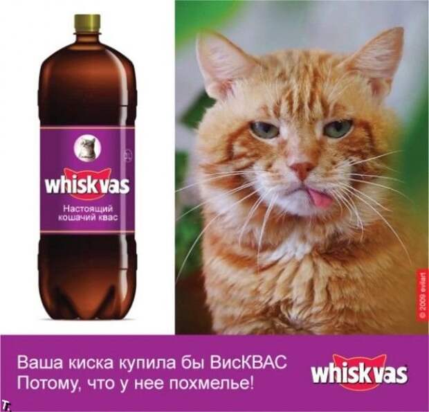 Давайте улыбаться вместе! :) (28улыбок)