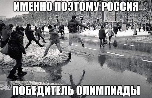 Весёлые картинки