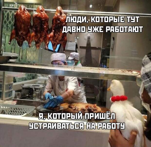 Смешные картинки вечерний выпуск 30 июля 2021