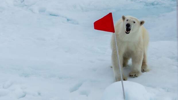 Кабмин РФ выделит на развитие Арктики 15 млрд рублей. События дня. ФАН-ТВ