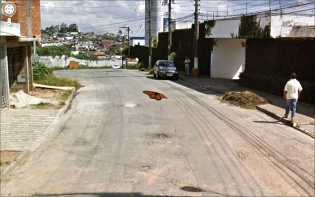 Неординарные снимки из сервиса Google Street View (47 фото) Неординарные снимки из сервиса Google Street View (47 фото)