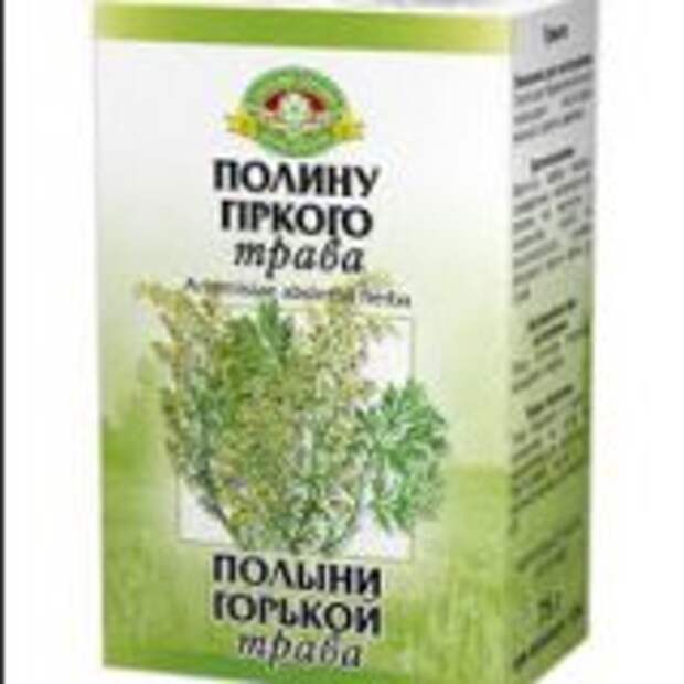 Как применять полынь для лечения и профилактики