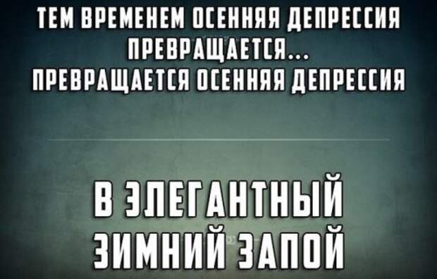 Свежие фото-приколы для всех (49 шт)