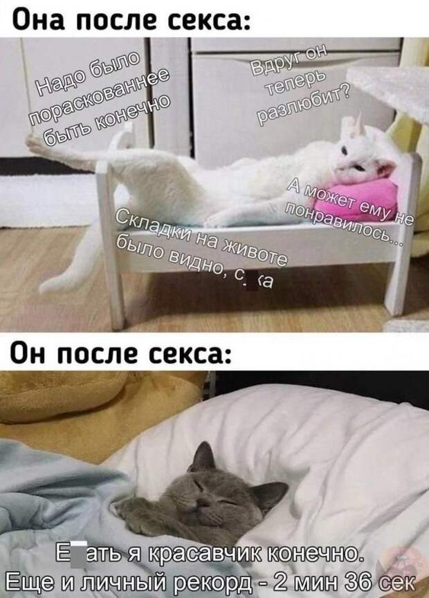 Мемы и приколы про 