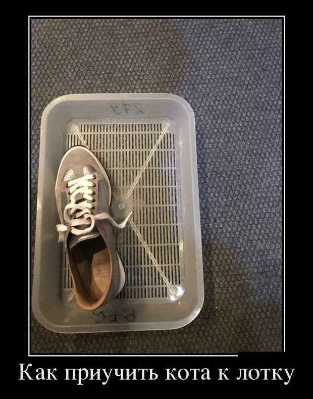 Демотиваторы (30 фото) Демотиваторы (30 фото)