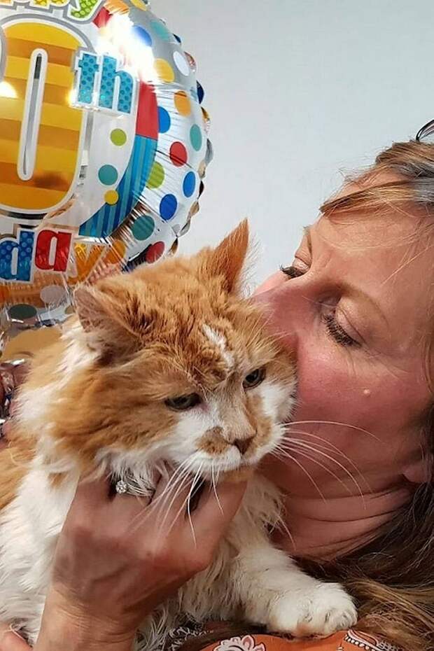 Раббл — самый старый кот в мире, которому недавно исполнилось 30 лет самый старый кот в мире, кот Раббл, 30-летний кот, кот Раббл 30 лет, коту 30 лет