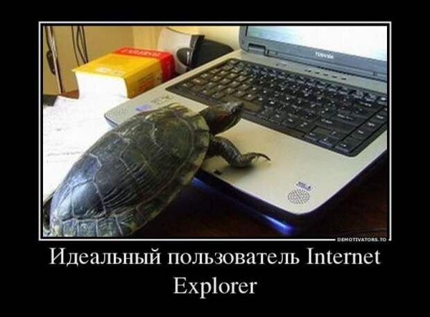 Немного новых демотиваторов