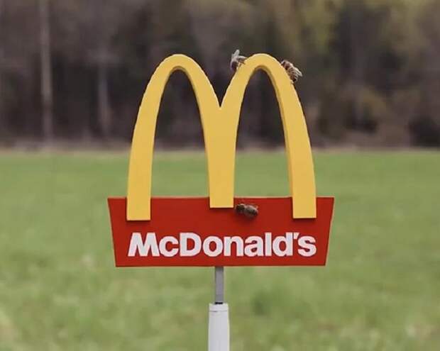 McDonald's создал самый маленький в мире ресторан, посетителями которого стали пчелы