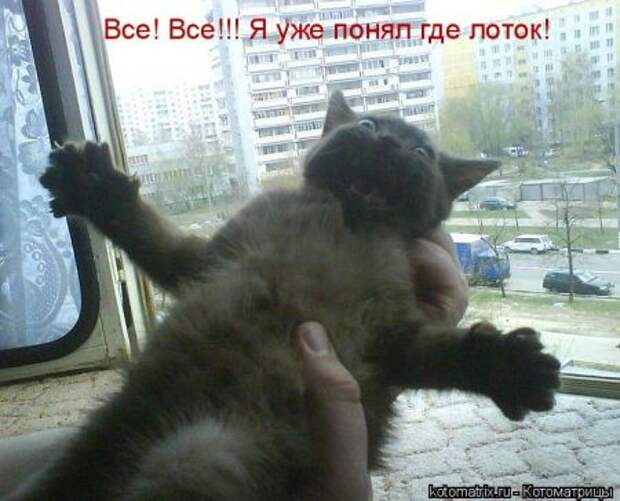Давайте улыбаться вместе! :) (28улыбок)