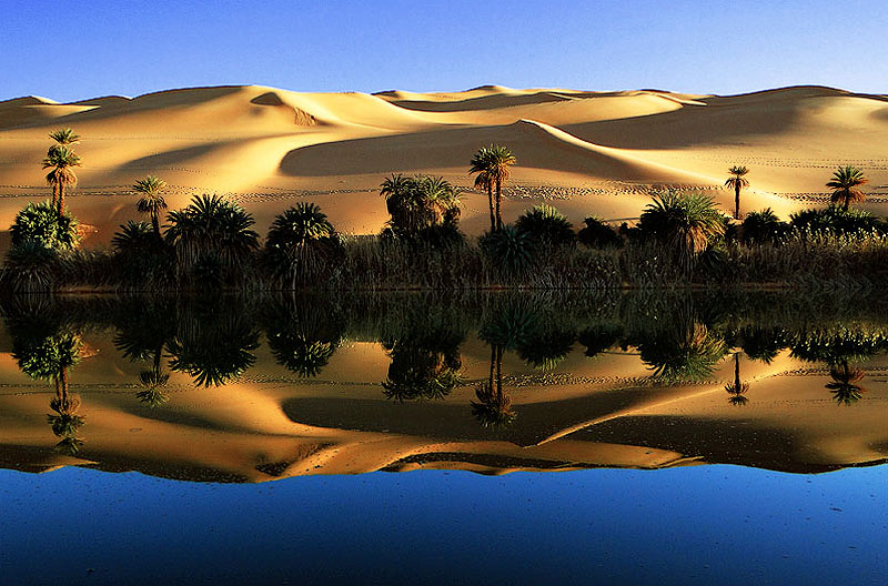 libyando libyando Ливийская пустыня Башара Шглила