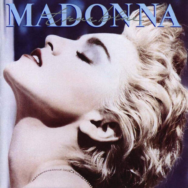 https://static.boredpanda.com/blog/wp-content/uploads/2018/07/iconic-madonna-scenes-dog-recreation-maxdonna-vincent-flouret-5b5ae48828950__700.jpg